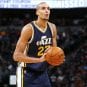 rudy gobert