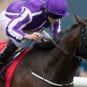Mendelssohn-Racing-Post