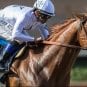 justify