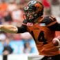 Travis_Lulay