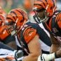 bengals