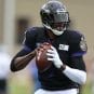 rg3 ravens