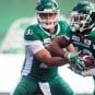 collaros-mason