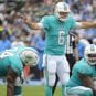 miami dolphins