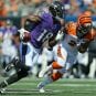 ravens v bengals