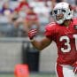 david johnson cardinals