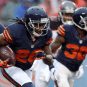 bears