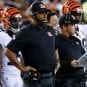 marvin lewis
