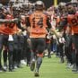 travis lulay lions large