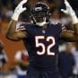 bears