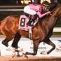 2019 belmont stakes