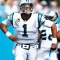 can newton 2019 panthers
