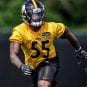 devin bush steelers
