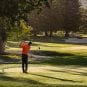 2019 safeway open