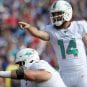 ryan fitzpatrick dolphins