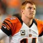 Andy Dalton, Bengals, 2019