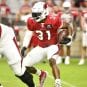 David Johnson, Cardinals, 2019