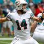 Ryan Fitzpatrick Dolphins