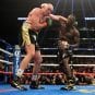 wilder fury 2