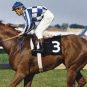 Secretariat