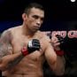 Fabricio Werdum