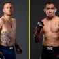 Justin Gaethje vs. Tony Ferguson