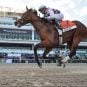 2020 belmont stakes tiz the law