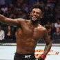 aljamain sterling ufc
