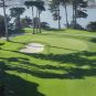 TPC Harding Park