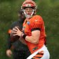joe burrow bengals