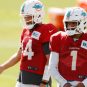 ryan fitzpatrick tua tagovailoa