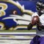 baltimore ravens