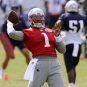 Cam Newton, Patriots, 2020