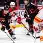 Calgary Flames vs. Ottawa Senators Prediction, NHL Odds...