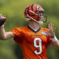 NFL: Cincinnati Bengals Training Camp