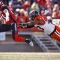 Stampeders vs. Lions