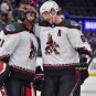 Arizona Coyotes