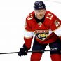 sam reinhart panthers