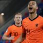world cup netherlands