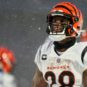NFL: AFC Divisional Round-Cincinnati Bengals at Buffalo Bills