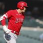 MLB: Game Two-Los Angeles Angels at Detroit Tigers