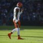 NFL: Cleveland Browns at Baltimore Ravens