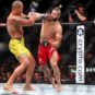 MMA: UFC 295 - Prochazka vs Pereira