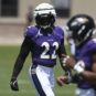 NFL: Baltimore Ravens Training Camp