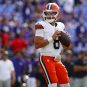 NFL: Cleveland Browns at Baltimore Ravens