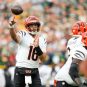 NFL: Cincinnati Bengals at Green Bay Packers