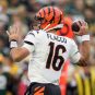 NFL: Cincinnati Bengals at Green Bay Packers