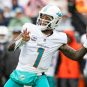 NFL: Miami Dolphins at Cleveland Browns