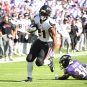 NFL: Houston Texans at Baltimore Ravens