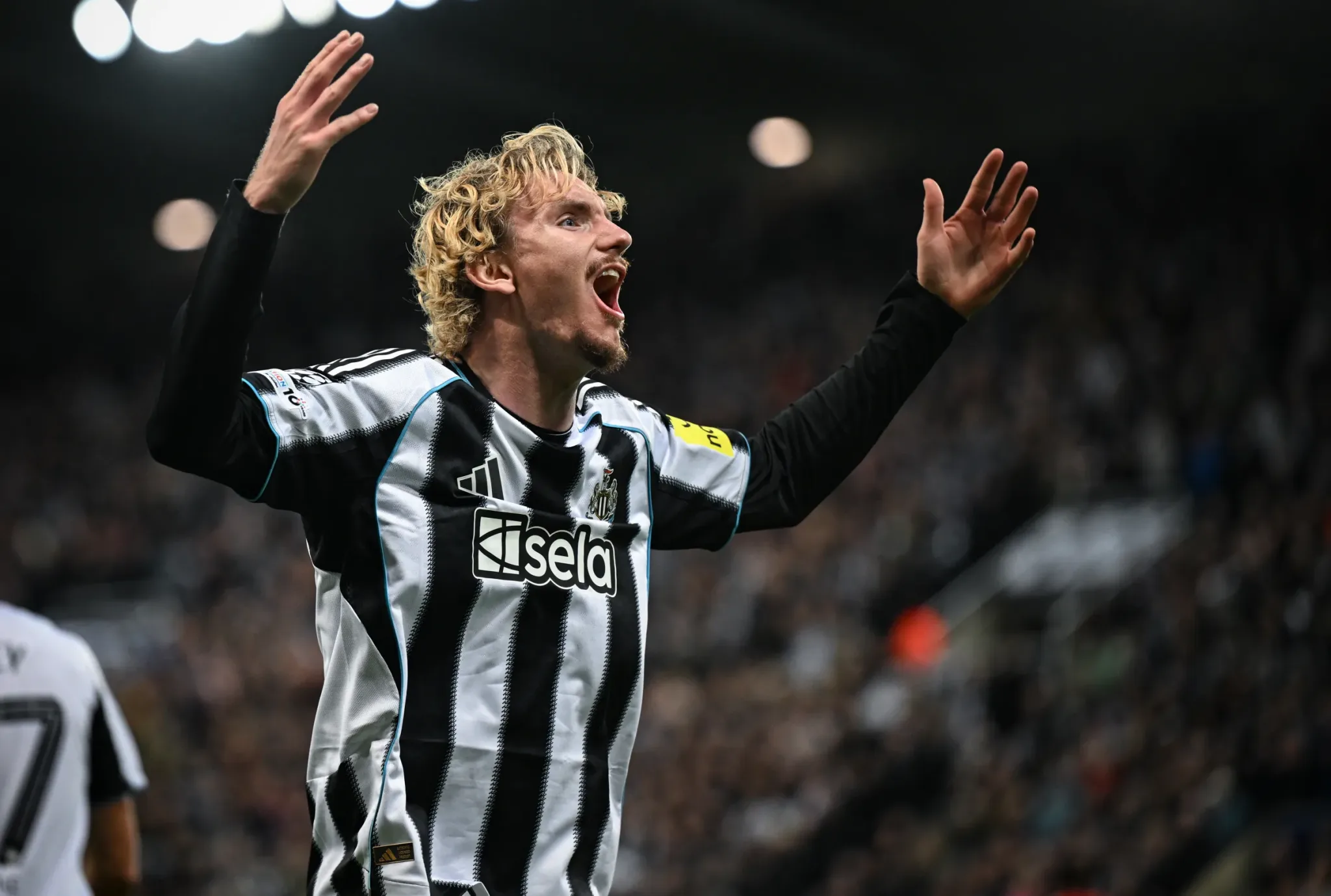 Newcastle vs. Sunderland English Premier League Preview and Prediction by Liam Setterlund